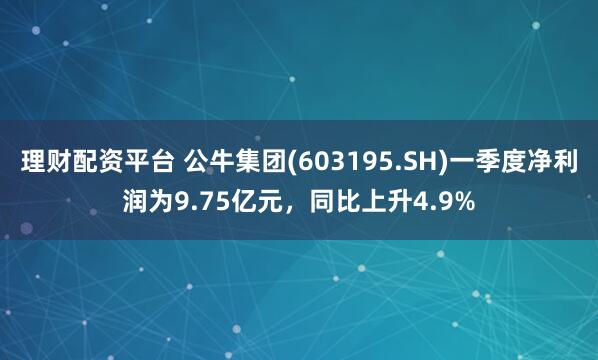 理财配资平台 公牛集团(603195.SH)一季度净利润为9.75亿元，同比上升4.9%